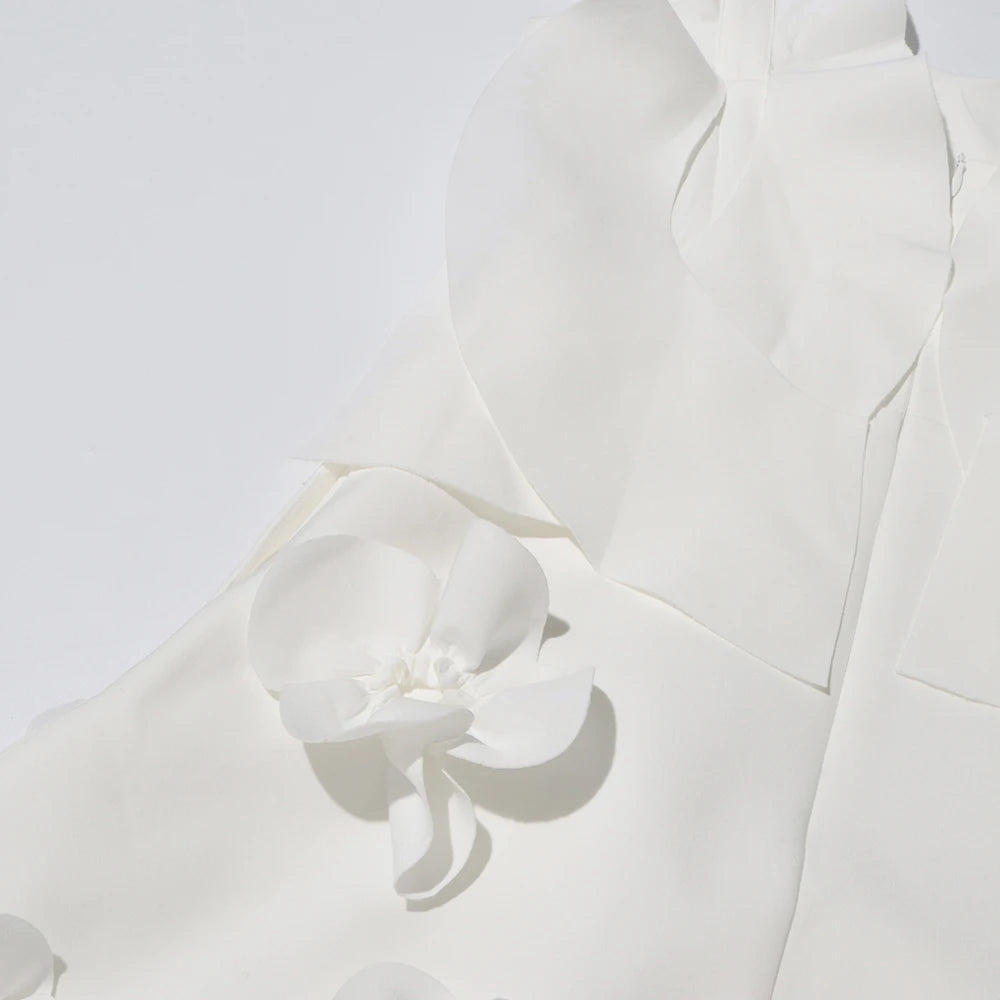 Open Back Appliques Dress