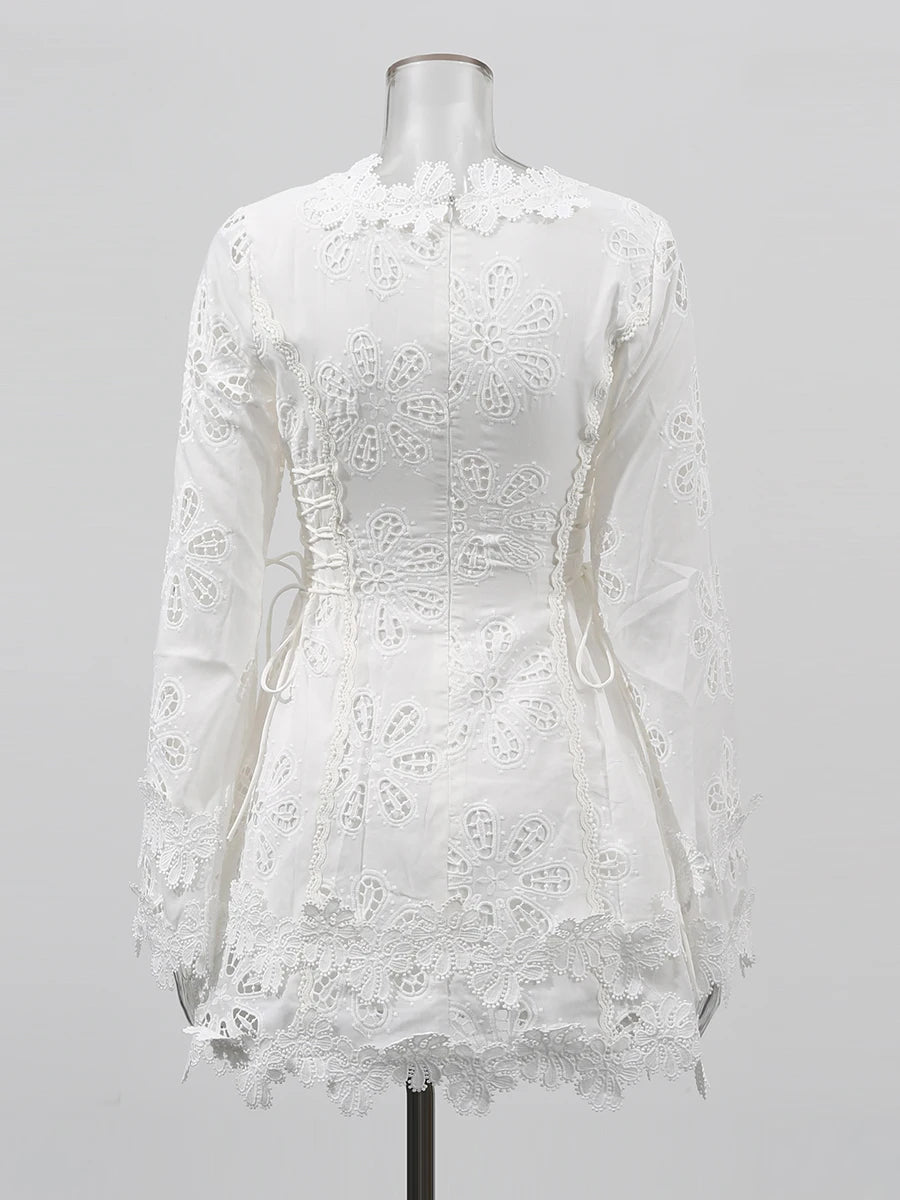 Embroidered Lace Mini Dress