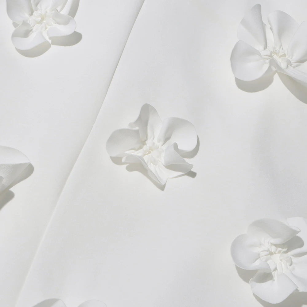 Open Back Appliques Dress