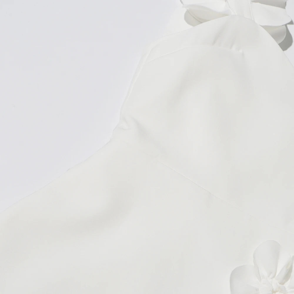 Open Back Appliques Dress