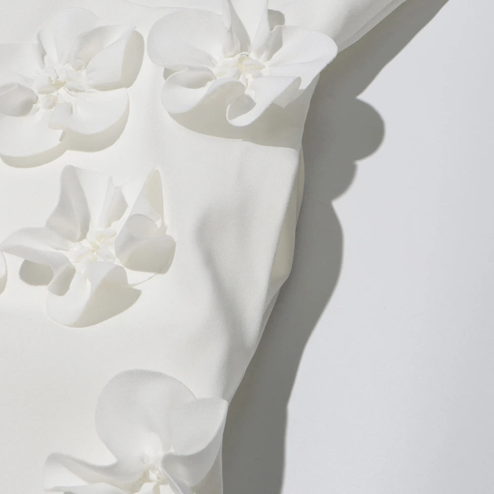 Open Back Appliques Dress