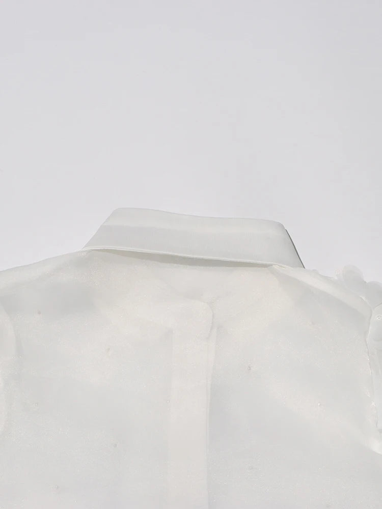 Appliques Chiffon Blouse