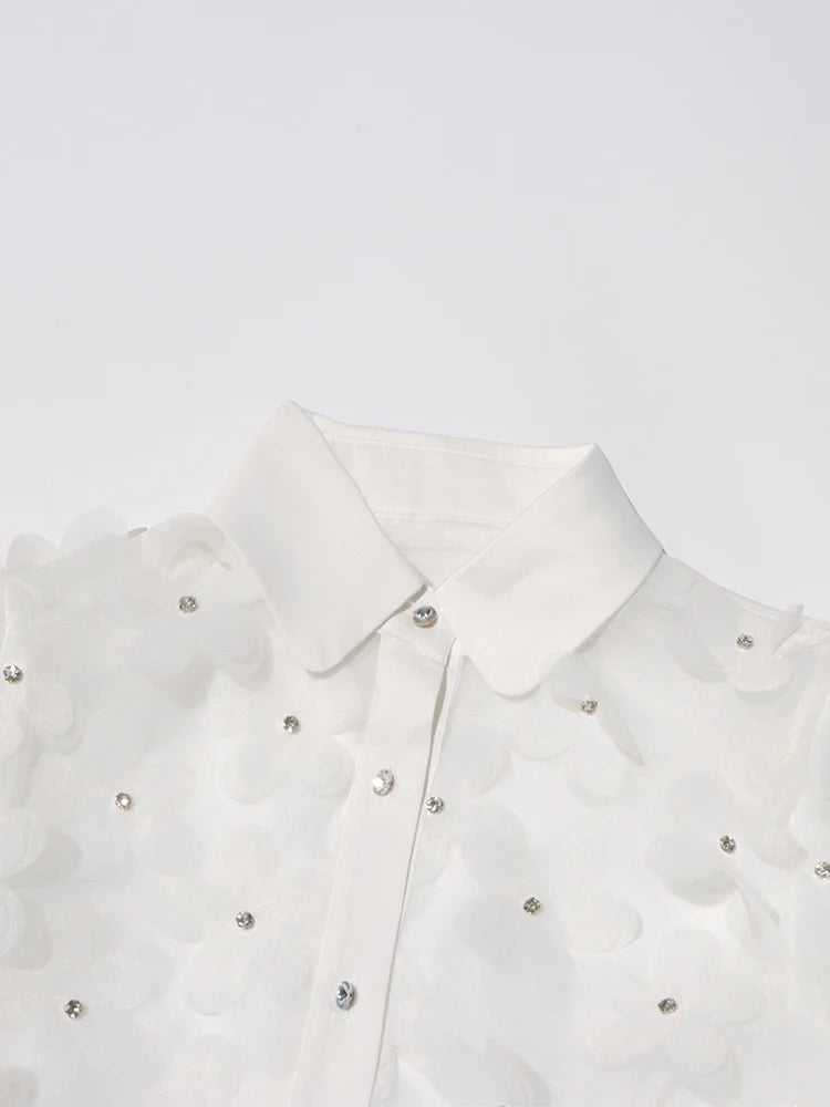 Appliques Chiffon Blouse
