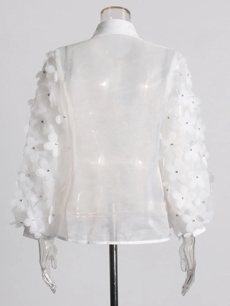 Appliques Chiffon Blouse