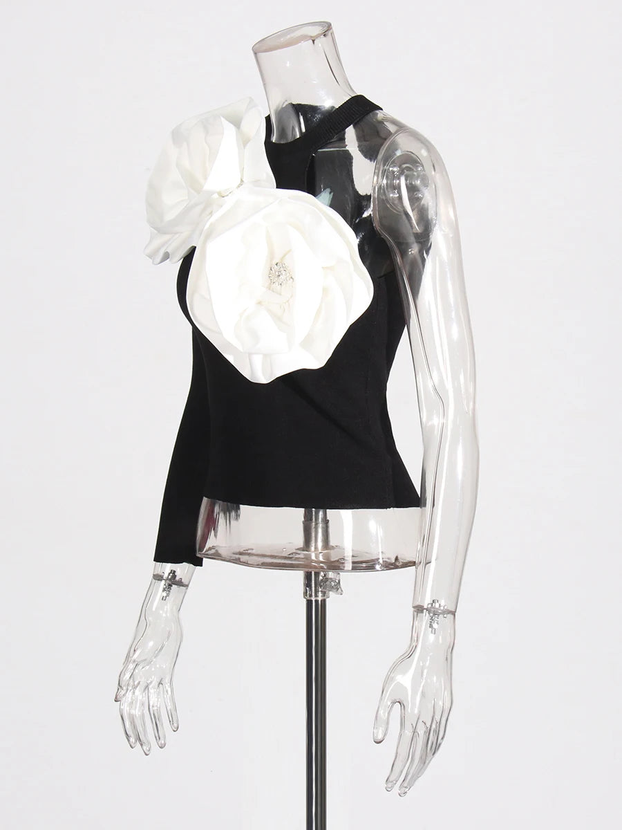 Appliques Top