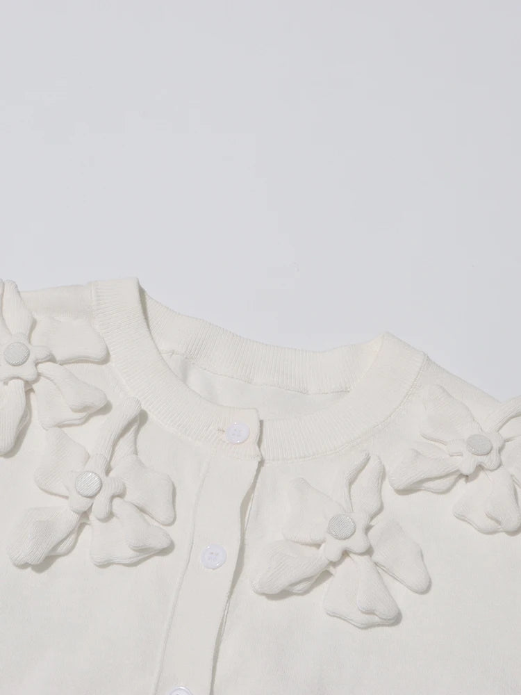 Appliques Knit Top