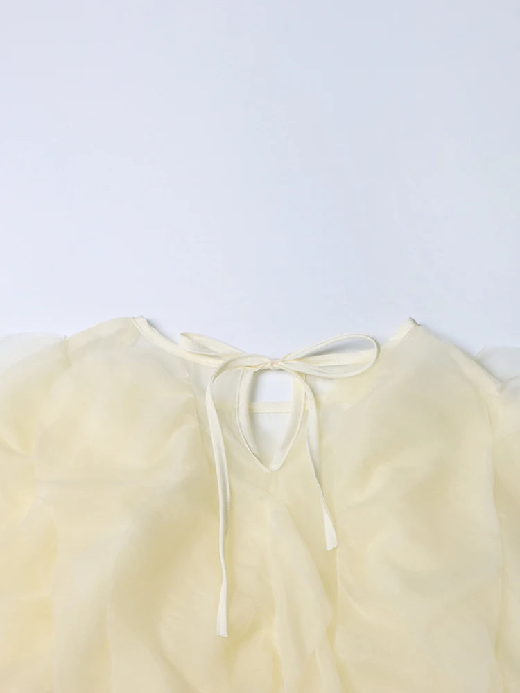 Chiffon Ruffle Blouse