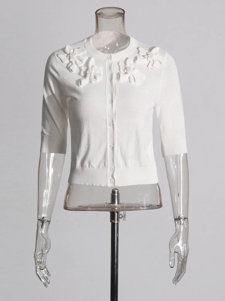 Appliques Knit Top