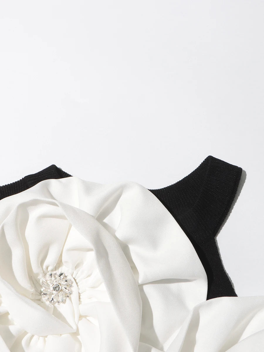 Appliques Top